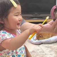 生まれた瞬間から『大型犬』と一緒に過ごした女の子→2歳になると…あまりにも尊い『立場が逆転した光景』が12万再生「幸せ家族」「癒される」