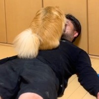 夫のことが大好きな犬→『顔を舐めて愛情表現している』と思ったら…想定外すぎた『まさかの行動』が24万再生「爆笑したｗ」「フルコースで草」