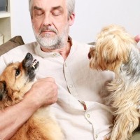 犬が人や物を『独り占めしたい』ときにする行動4つ　執着心が強すぎる場合の対処法まで