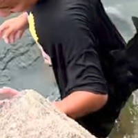 男の子が川で泳いだ結果→見ていた犬が『やめて！』と心配して…まるで『本当の母親』のような光景が11万再生「すごく心配してる」「健気すぎ」