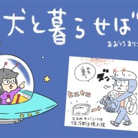 犬と暮らせば【第551話】「犬飼いの夏あるある」