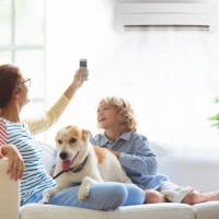 犬に絶対やってはいけない『熱中症対策』5選　逆効果となるNG行為や適切な予防法まで