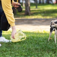 犬が外で『ウンチ』をしたときの絶対NG行為5選　避けるべきタブー行動や飼い主が守るべきマナーまで