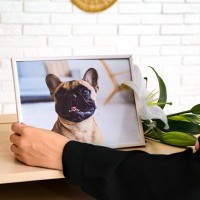 愛犬が亡くなった後、お盆の迎え方とは？どのように過ごすべきなの？知っておいた方がいい供養方法まで