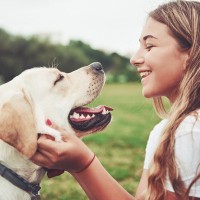 犬が『褒められた』ときにみせる行動4つ　嬉しがっているサインや絆を深める接し方のコツまで