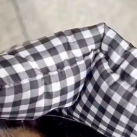 お出かけ時、バッグの中に『犬を入れて運んだ』結果→ふと『なにやら視線を感じるな』と思い…あまりにも尊い光景が63万再生「幸せ犬」「最高」