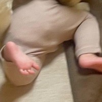 赤ちゃんの『キィー！』という叫び声→すぐに様子を見たら、犬が…『まさかの光景』に7万いいね集まる「ドヤ顔で草」「可愛くて笑ったｗｗ」