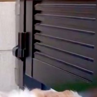『なぜか外から笑い声が聞こえるな』と思い、庭を見に行った結果→犬が隙間から…『思わず納得する光景』に反響「私も通り過ぎたい」「可愛すぎ」