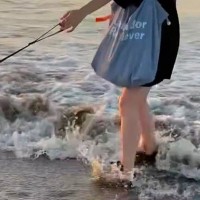 浜辺を散歩中『波が押し寄せてきた』結果→『危ない』と感じた大型犬が…思わずキュンとする『一生懸命な光景』に2万いいね「なんて優しいの」