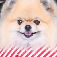 ママが抱っこすると『ニッコニコの笑顔』になる犬→パパの場合は…あからさまな『表情の違い』に反響「顔に出てるよ…」「一目瞭然で笑ったｗ」
