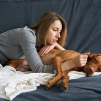 犬が『お腹が痛い』ときにみせるサイン4選　腹痛の原因や危険な症状まで