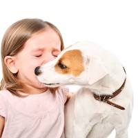 犬が飼い主に『気を遣っている』サイン4つ　愛犬はどんなときに心配してくるの？