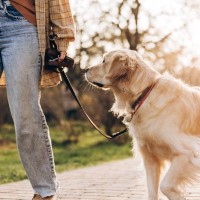 犬の飼い主による『マナー違反』7選　他人に迷惑をかける危険行為や必ず守るべきルールまで