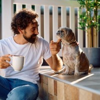 犬が飼い主に『遠慮してしまう』理由4つ　空気を読んでいるときにみせる行動や注意点まで