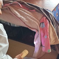 お気に入りのおもちゃを失くした子犬→見かねたおじいちゃんおばあちゃんが…『みんなで捜索する光景』に19万いいね「懐中電灯ｗ」「全員可愛い」