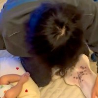 仕事から帰ってきた夫→クタクタに疲れていても『赤ちゃんと犬』に向かって…あまりにも幸せな光景に絶賛の声「平和すぎる」「幸せいっぱい」