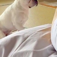 布団でスマホをいじっていたら、犬が『寝ているかも』と勘違いして…控えめすぎる『構ってアピール』が19万再生「なんて健気」「抱きしめたい」