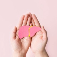 代謝の中心「犬の肝臓」は何をしているの？肝臓の”解毒機能”と重要性を獣医が解説