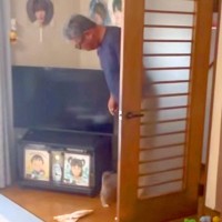父が単身赴任中、内緒で『子犬を飼った』結果→ドアを開けた瞬間…初対面で見せた『最高すぎる反応』が389万再生「いい顔すぎ」「パパ可愛い」