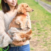 犬との暮らしで分かる『人生において大切なこと』4つ　何気ない日常にある喜びとは？