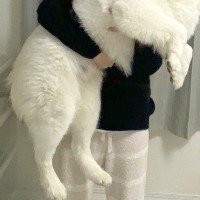いつもパパに抱っこされる25キロの大型犬→ママが抱っこすると、ビックリして…感情が出過ぎている『表情』に1万いいね「ファ！？の顔ｗｗ」