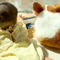 赤ちゃんと一緒に『窓際で日向ぼっこ』をする犬→途中で眠たくなってしまい…語彙力を失う『尊すぎる光景』に反響「素敵」「信頼関係できてる」