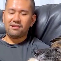 大嫌いな『雷』に怯えまくる元野犬→思った以上にブルブルと震えるので…まるで子供のような『愛おしい光景』が70万再生「全てが可愛い」
