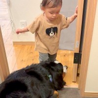 トイレについてきた大型犬と赤ちゃん→突然『謎の言葉』を喋った次の瞬間…まさかの『完全に従えている光景』が100万再生「通じ合ってて凄い」