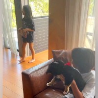 4年前から『犬を飼いたい』と言っていた娘→内緒で『赤ちゃん犬』を飼った結果…対面した瞬間の『100点満点のリアクション』に思わず感動
