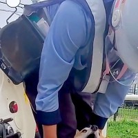 『郵便配達員』と遭遇した犬→赤ちゃんの頃から仲良しで…もはや仕事にならない光景が54万再生「足にめり込めそうw」「配達員さんも嬉しい」