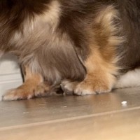 『ほんと無理いい加減にして』赤ちゃんのおしゃぶりを紛失→『どこにあるだろう』と探した結果、ソファの下で…まさかの光景に7万いいねの反響