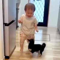 小さな男の子と赤ちゃん犬の初対面→お互いに喜び『追いかけっこ』を始めて…あまりにも尊い光景が84万再生「可愛いの渋滞」「なんて幸せなの」