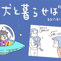 犬と暮らせば【第554話】「エマの手術」