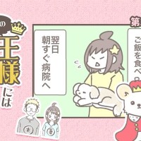 うちの王様にはどうしても抗えない【第370話】「バンビ闘病記②」