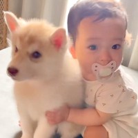 赤ちゃんが『生まれたときから大型犬の子犬と育った』結果→3年後…あまりにも尊い『成長記録』が27万再生「心打たれた」「なんて素敵な家族」