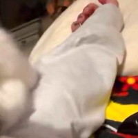 体調不良で寝る女性→犬が近くにきたので『心配してくれたのかな』と思ったら…まさかの展開に2万いいね「ぐりんぐりんで草」「私もされたいｗ」
