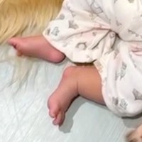 トイレで腹痛と戦っていたら、大型犬が乱入→同時に『別室の赤ちゃんも号泣』してしまい…まさかの『対処法』が33万再生「安定感半端ないｗ」