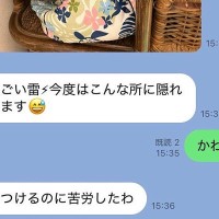 親からLINEで『雷を怖がる犬の写真』が送られてきたので確認したら…小さな子供のような『隠れ方』が37万表示「もっといい所あるんじゃｗｗ」