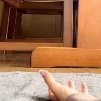 『おいで』と手を出すと、撫でてもらおうと近づいてくる犬→あまりにも『子熊すぎるビジュアル』が160万再生「もこもこ」「可愛すぎ泣きそう」