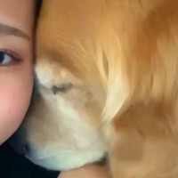 大型犬と添い寝中『なにやら視線を感じる』と思い、前を見てみた結果→別の犬が…なんとも言えない『表情』に反響「可愛すぎｗ」「じわじわくる」