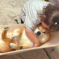2歳の女の子が『バウンサーに乗った犬』を見た結果→まるで『赤ちゃん』のように…家族愛に溢れた光景が24万再生「素敵すぎる」「幸せ感じる」