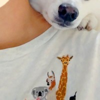 スイカを食べている女性→背後から犬が『ちょうだい』とアピールして…絶対にあげてしまう『要求の仕方』に反響「抵抗できない」「あざとすぎる」