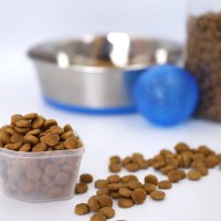 愛犬の『ドッグフード』絶対NGな保存方法3選　ご飯を劣化させないための適切な対応まで解説