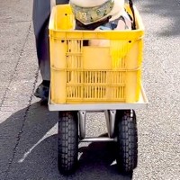 お盆、おじいちゃんおばあちゃんの家に来た犬→帰り際には『台車』に乗って…幸せ過ぎる『VIP待遇』が27万再生「お殿様ｗ」「ご満悦で草」
