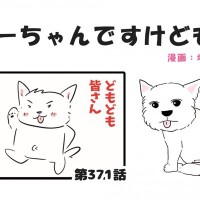 ちーちゃんですけどもっ【第371話】「皆さんへ」