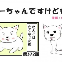 ちーちゃんですけどもっ【第372話】「ちーちゃんはいま」