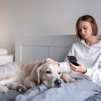 犬の飼い主が無意識にやりがちな『NG行為』5つ　愛犬にストレスや苦痛を与えるタブー行動まで