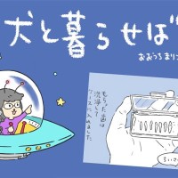 犬と暮らせば【第555話】「エマの抜歯」
