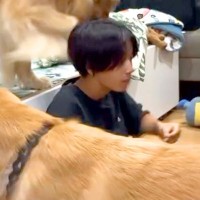 数ヶ月ぶりに『大好きなお兄ちゃん』と再会した大型犬たち→感情が爆発して…あまりにも激しい『熱烈歓迎』に反響「愛が止まらない」「可愛い」