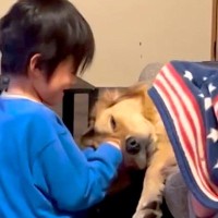 小さい頃、大型犬に嫌われていた男の子→諦めずに寄り添い続けた結果…心が浄化される『尊い光景』が218万再生「泣ける」「仲良しが溢れてる」